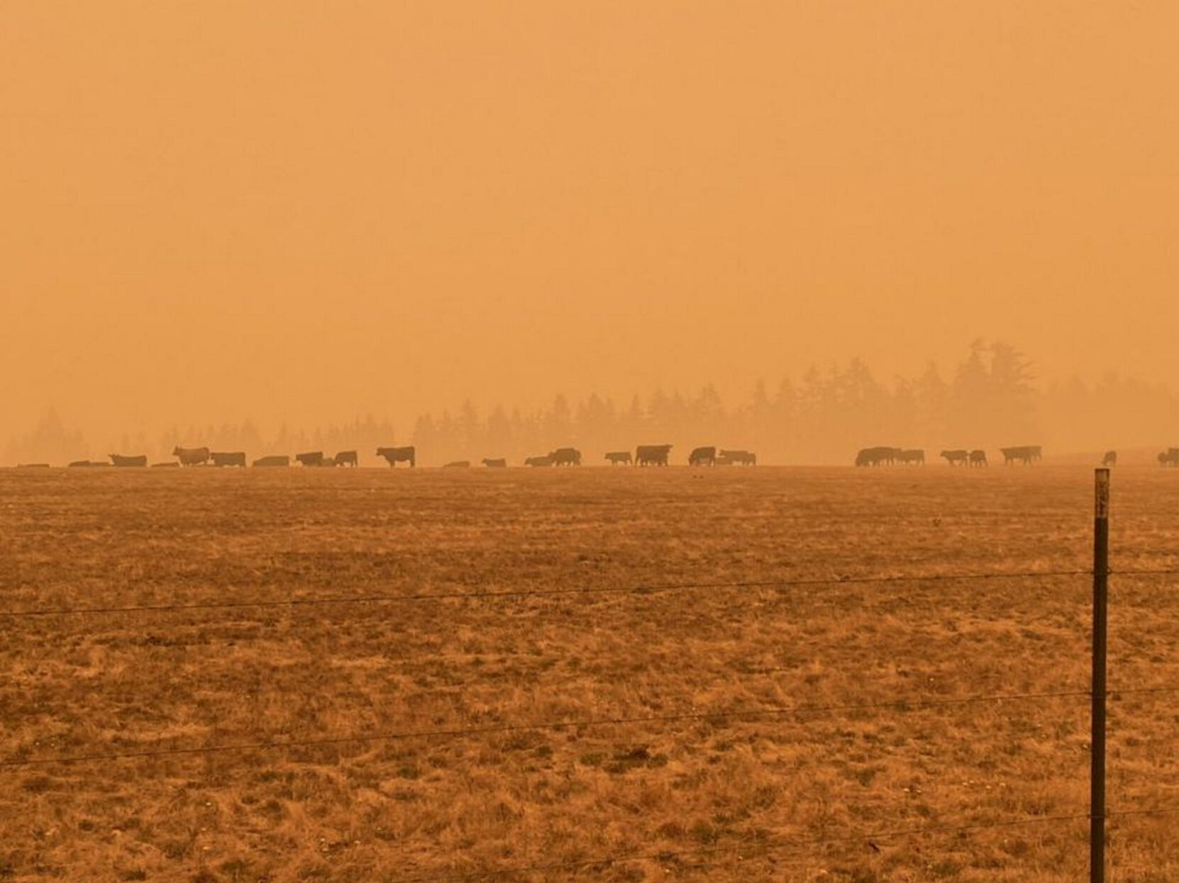 ‘It felt like a horror movie’